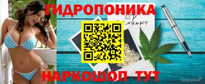 гидропоника Кулебаки