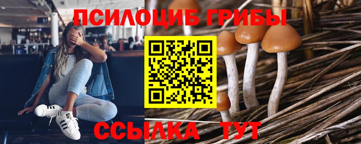 Галлюциногенные грибы MAGIC MUSHROOMS  Вход с VPN  Каменка 