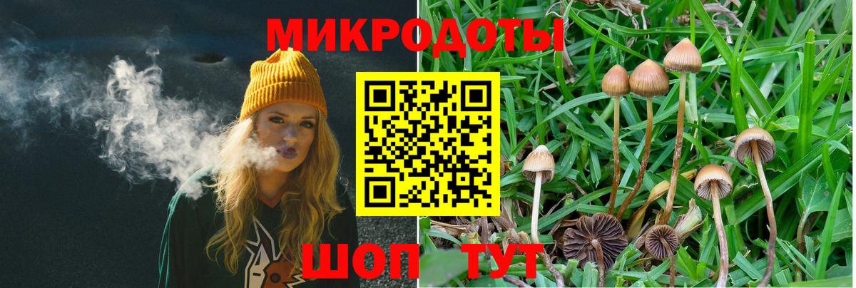 Псилоцибиновые грибы мухоморы Каменка
